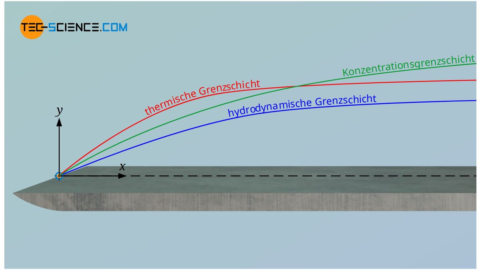 Hydrodynamische Grenzschicht, thermische Grenzschicht und Konzentrationsgrenzschicht