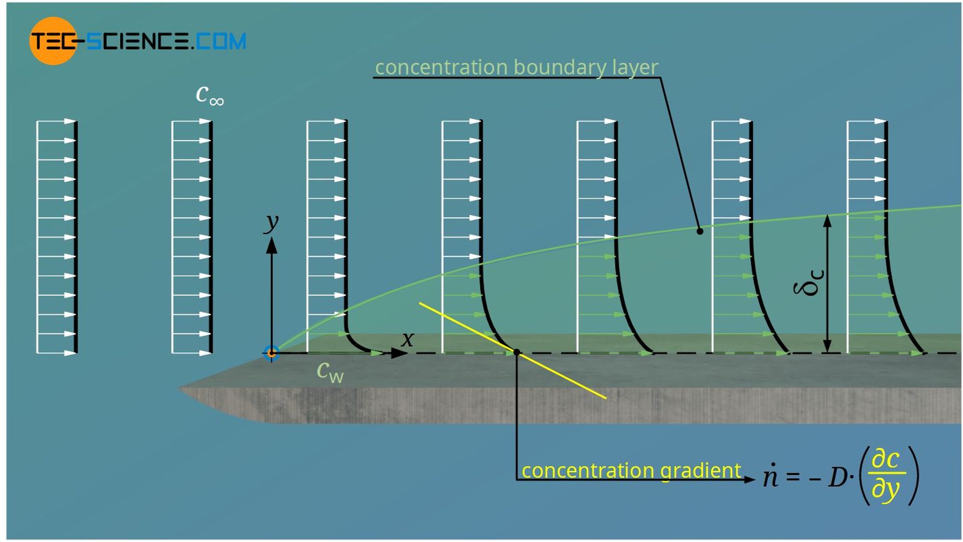 Definition of the concentration boundary layer (substance boundary layer)