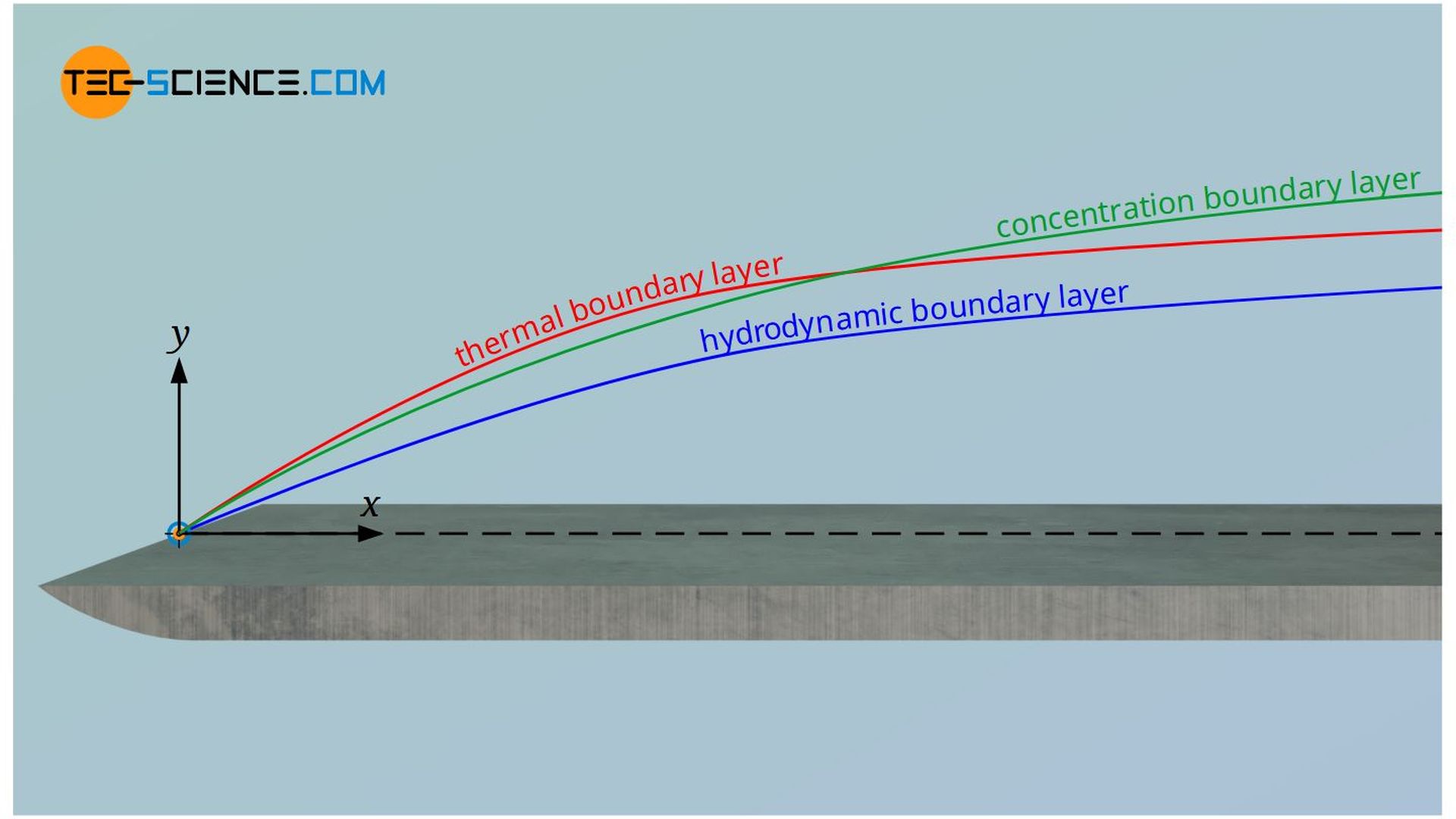 Hydrodynamic, thermal and concentration boundary layer
